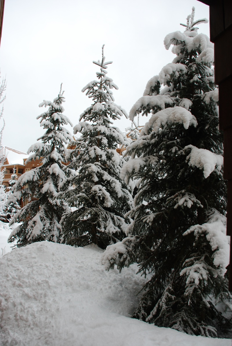 2009/03(Mar)/WHISTLER WITH MUSSATTOS/800x600_2009-03-WHISTLER WITH MUSSATTOS 13.jpg